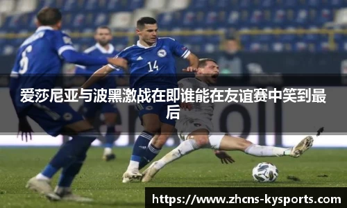 开云体育入口